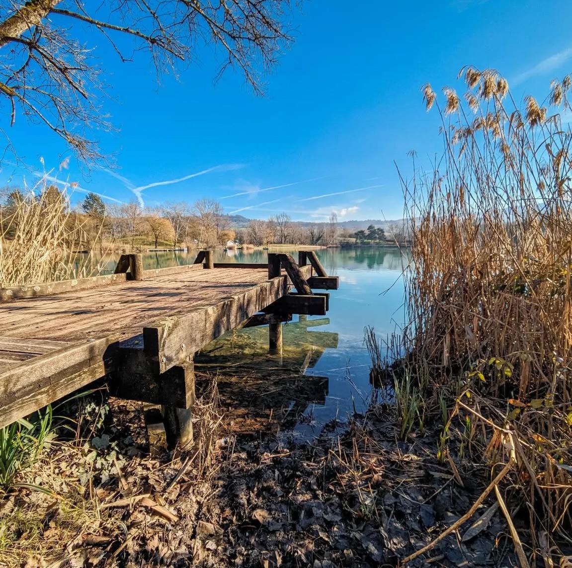 Studio Entre Lacs Et Montagnes Rumilly  Dış mekan fotoğraf